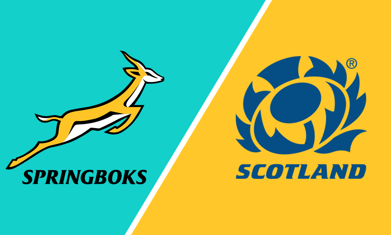 How to watch Springboks vs Scotland online from anywhere